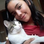 Profile Picture of Tony Macedo (@_tony_macedo_) on Instagram