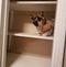 Profile Picture of Dawn Keeton (@dawn.keeton.75098) on Facebook