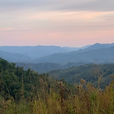 Profile Picture of Greg Price (@ObscureBug) on Twitter