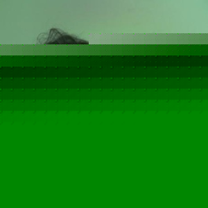 Profile Picture of Doreen Carroll (@drncarroll) on Myspace