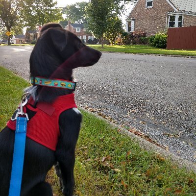Profile Picture of Matthew Barrette (@matthewbarrette) on Twitter