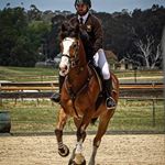 Profile Picture of Chris Conlan (@the_bearded_equestrian) on Instagram