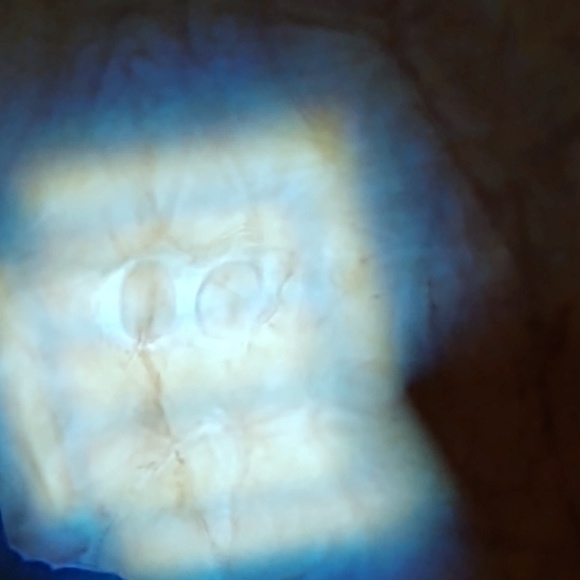 Profile Picture of Ron Mearse (@jigswalker) on Poshmark