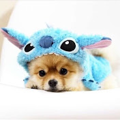 Profile Picture of Morgan Potter 654321 (@MorganPotter) on Youtube