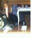 Profile Picture of Sarah Berwick Duncan (@sasduncan) on Pinterest