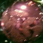 Profile Picture of Christopher Kozub (@c_kozub) on Pinterest