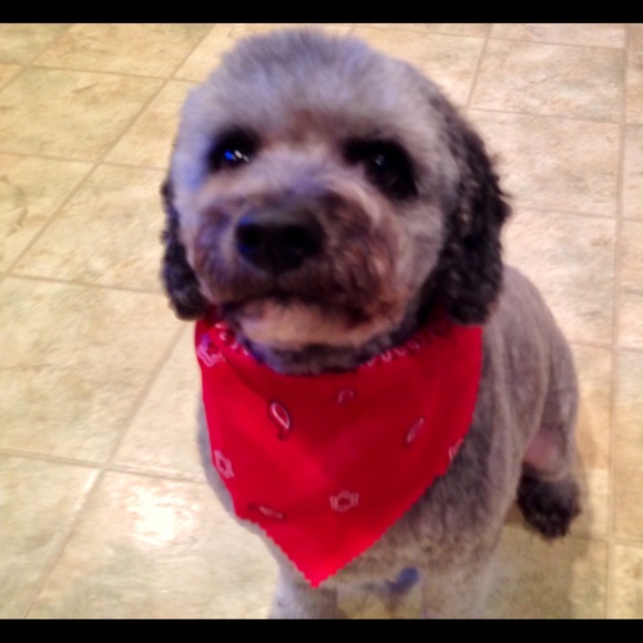 Profile Picture of Alice Atkinson (@itsaliceann) on Poshmark