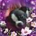 Profile Picture of Aaron Surber (@Aaron-Surber) on Facebook