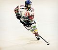 Profile Picture of David Borrelli (ice hockey)on Wikipedia