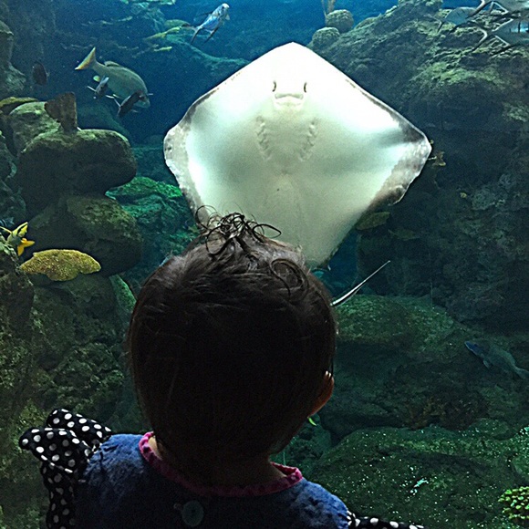 Erika Atkinson - Poshmark Profile Picture of Erika Atkinson (@erikarory) on Poshmark