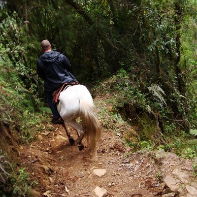 Profile Picture of Michael (@michael_galt) on Twitter
