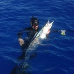 Profile Picture of Brett koekemoer (@spearfishing_rarotonga) on Instagram