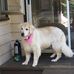 Profile Picture of Amanda Bartels (@amanda.bartels.5811) on Facebook