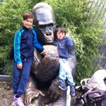 Profile Picture of Paul Schindler (@paul_kartoffel_10_) on Instagram