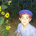 Profile Picture of Matt Chase La Guardia (@mattchaselaguardia) on Instagram