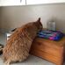 Profile Picture of Phyllis Riemer (@phyllis.riemer.1) on Facebook