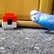 Profile Picture of Kevin Speckens (@kevinspeckens8124) on Youtube