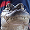 Profile Picture of Derrick Lockhart (@airboat32709) on Flickr