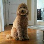 Profile Picture of Nancy Healy (@fall_girl29) on Instagram