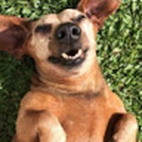 Jillian Loya - Quora Profile Picture of Jillian Loya (@jillian-loya-1) on Quora