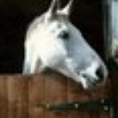 Susan McIsaac - Twitter Profile Picture of Susan McIsaac (@suzmcisaac) on Twitter