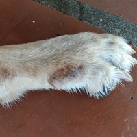 Profile Picture of John Beal (@john-beal-52) on Quora