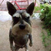 Profile Picture of Chris Hilliard (@ChrisHilliard) on Youtube