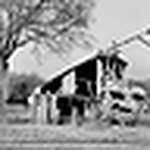 Profile Picture of Shawna Brown (@sb photography 2010) on Flickr