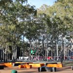 Profile Picture of Adrian Swain (@arboreport) on Instagram