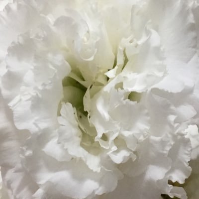 Profile Picture of yvette wong (@yvettew92938629) on Twitter