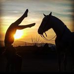 Profile Picture of Maria Sturm Aumedes (@mariasturm_16) on Instagram