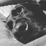 Profile Picture of Jamie Hooker (@jjhooker052019) on Instagram