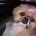 Profile Picture of Gail Appleton (@gail.appleton.31) on Facebook
