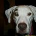 Profile Picture of Mackenzie Cobey (@mackenzie.cobey) on Facebook