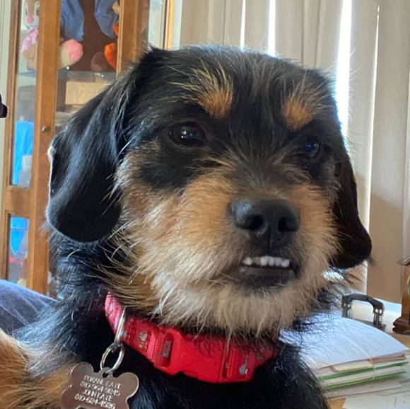 Profile Picture of Roxane Kaye (@rmkaye2) on Poshmark