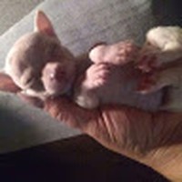 Profile Picture of Sara Seay (@sara-seay-2) on Quora