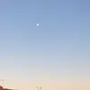 Profile Picture of jessica hodges (@jessica_hodges._) on Tiktok