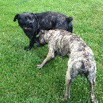 Profile Picture of Rodney Weaver (@rodney.weaver420) on Instagram