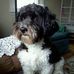 Profile Picture of Joan Trimble (@joan.trimble.79) on Facebook