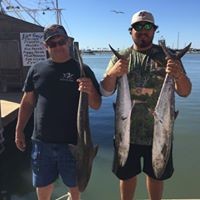 Profile Picture of Rudy Castillo (@rudy-castillo-16) on Quora