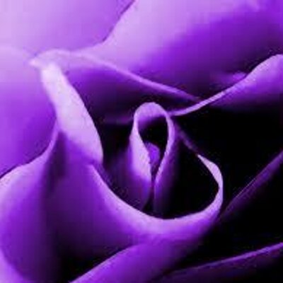 Profile Picture of Samantha Settle (@Sammo43091) on Twitter