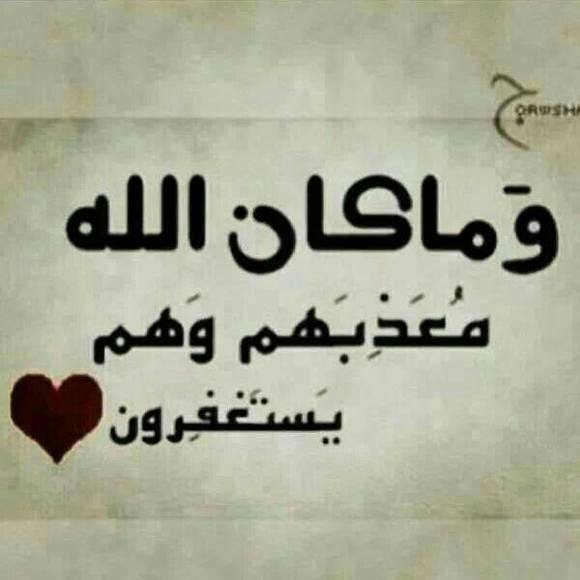 Profile Picture of Effat Elkady (@effatelkady) on Poshmark