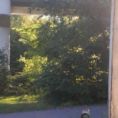 Profile Picture of John Wisecarver (@JwWisecarver) on Twitter