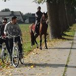 Profile Picture of Rubén Peña (@pompayeso) on Instagram