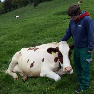 Profile Picture of Marc Widmer (@036550c7bbe9477) on Twitter