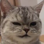 Profile Picture of Brandy Nguyen (@itz_mu.a_brandy_nguyen) on Instagram