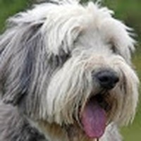 Profile Picture of Leila Craig (@leila-craig-1) on Quora