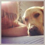 Profile Picture of Rebecca Singleton (@singletonrebecca) on Instagram