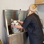 Profile Picture of James Deciccio (@jamesdeciccio) on Instagram