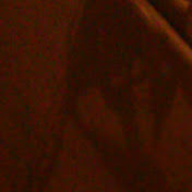 Profile Picture of Lucia Tovar (@luciatovar5118) on Youtube